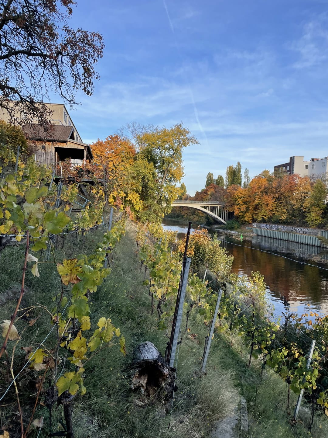 am Weinberg Tempelhof